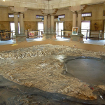 bharat mata mandir