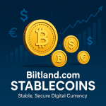 Biitland.com