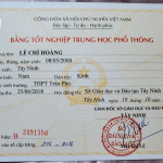 Bao Xin Viec