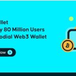 Polygon Wallet