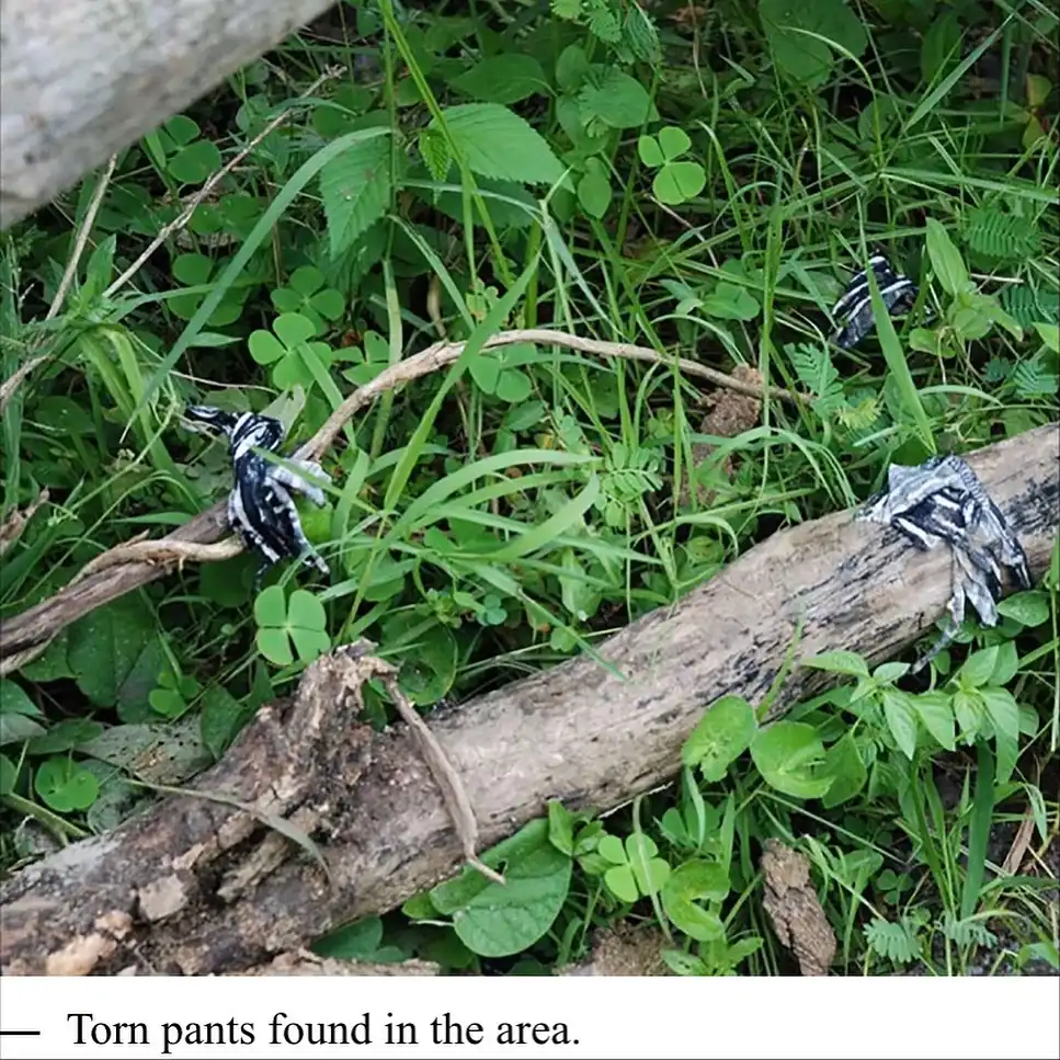 Sophia Koetsier is Alive