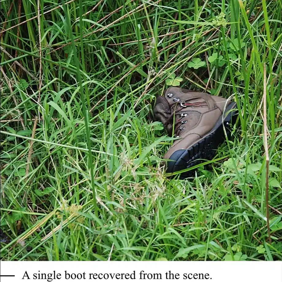 Sophia Koetsier is Alive