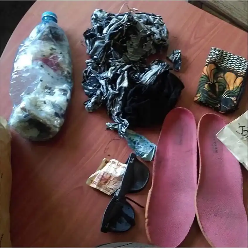 Sophia Koetsier is Alive