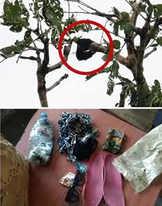 Sophia Koetsier is Alive